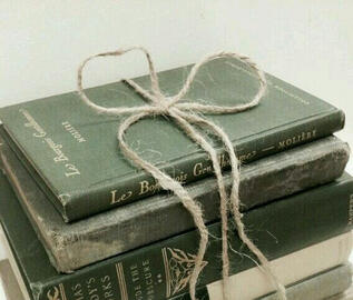 LITERATURE